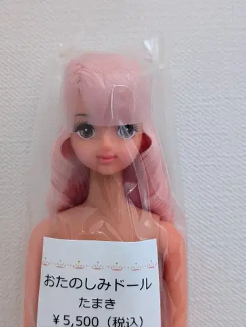 기대되는 인형 타마키