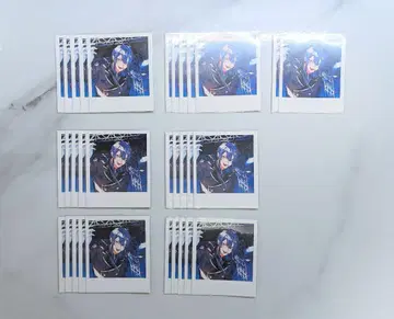 니지산지 일창입혼 폴라로이드 나가오 케이