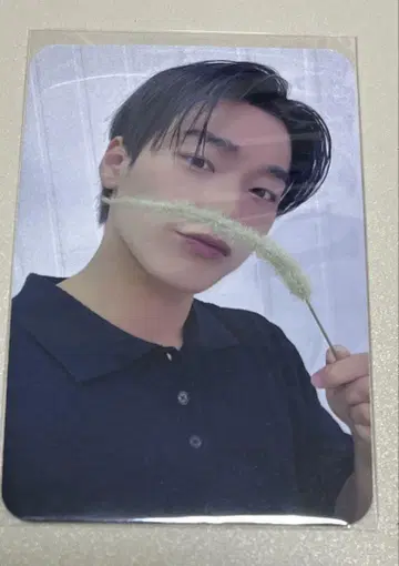 ATEEZ 산 dear my muse 양면 트레이딩 카드