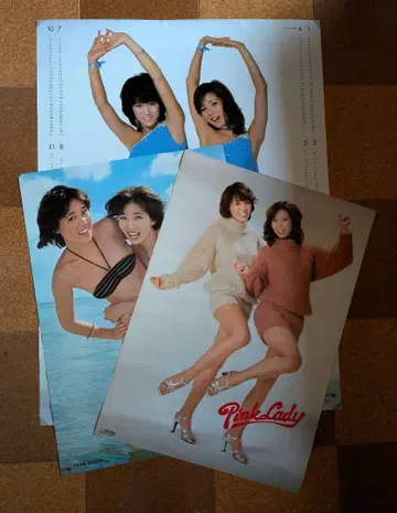 핑크 레이디 [ 핑크 레이디 포스터 3장 세트 ]