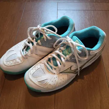 미즈노 블레이크샷 24.5cm