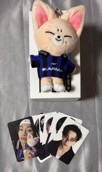 straykids KARMA skzoo vr 폭시니 아이엔