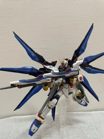 RG 1/144 스트라이크 프리덤 건담 조립품 건담 프라모델
