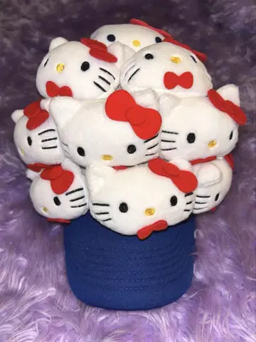 헬로키티 봉제 인형 포함 캡