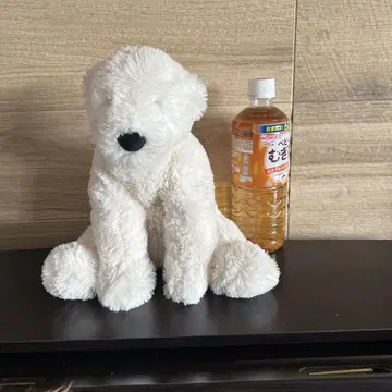 제리캣 화이트 곰돌이