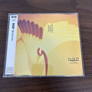 NSP 순