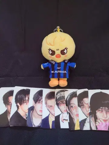 straykids KARMA skzoover. 포가리