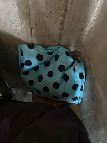 도트 토트백