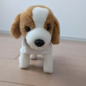 산책 멍멍 비글 강아지 파란 목걸이 포함