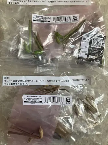 생물대도감 어드밴스 큰사마귀 2종 온라인판