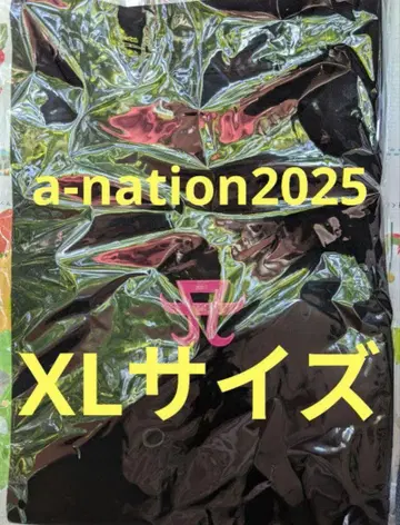 a-nation 2025 하마사키 아유미 슬리브리스 셔츠 XL 사이즈