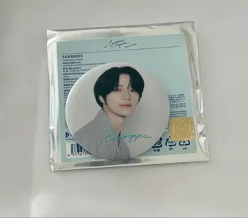 TXT summer together 캔뱃지 범규