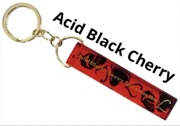 AcidBlack Cherry 키링 2015 arena tour