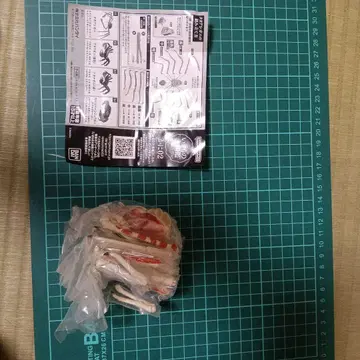 게 가챠 왕게