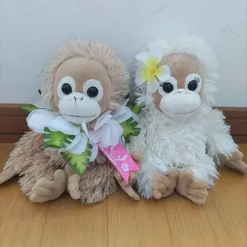 베이비 코코 오랑우탄 페어 봉제 인형 세트