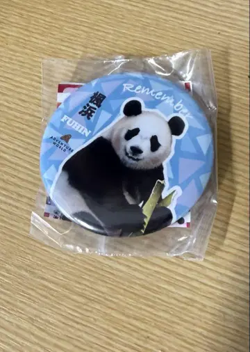 어드벤처 월드 팬더 카에데하마 캔뱃지