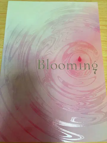 뮤지컬 헤타리아 파이널 라이브 라이브 사진집