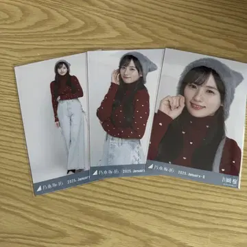 카와사키 고양이 귀 니트