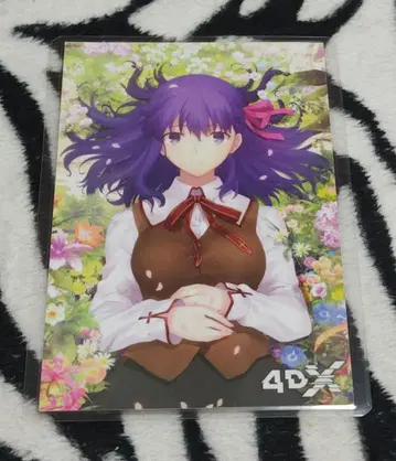 Fate/stay night 엽서 4DX 마토 사쿠라 라미네이티드