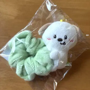 RIIZE 스크런치 앤톤