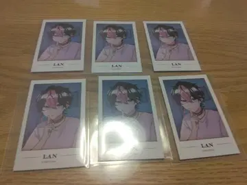 시쿠포니 LAN 애니메이션 폴라로이드
