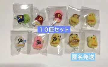 삐요리나 10마리 세트 묶음 판매