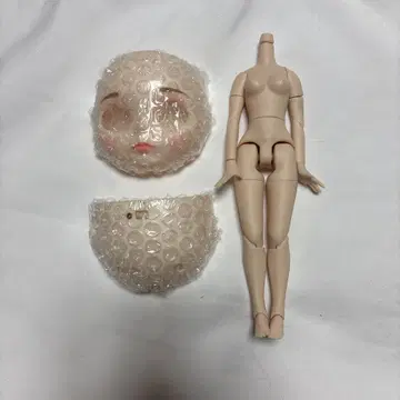 커스텀 인형 (아이시 인형) 페이스, 뒤통수, 바디 세트