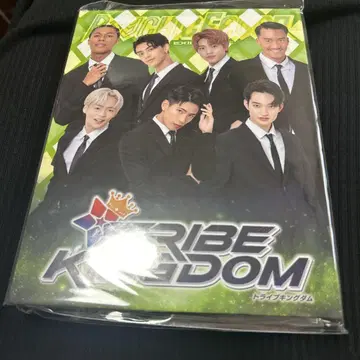 TRIBE KINGDOM PSYCHIC FEVER 카드 앨범