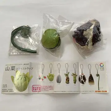 네이처 테크니컬러 MONO 산채 소프트 스트랩 3종 세트