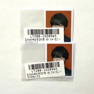 키라리 스크래치 ID 사진