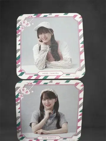 사쿠라자카 카페 코스터 모리야 레이나 타무라 호노 세트