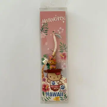 일광화상 키티*서핑*하와이 한정판