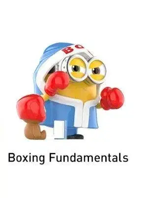POP MART Boxing Fundamentals