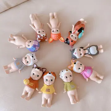 소니엔젤 10개