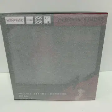 ANIPLEX BUZZmod 바람의 검심 새상품