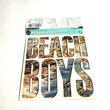비치 보이즈 THE BEACH BOYS '85 종이 자켓