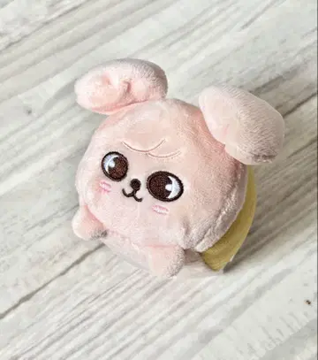 straykids SKZOO 퍼핌 승민 백참