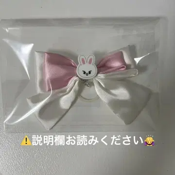Stray Kids 5-star 응원봉 리노 리비트 응원봉 리본