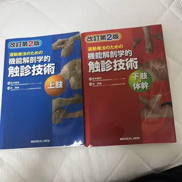 기능 해부학적 촉진 기술 상하의 세트