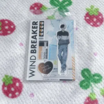 WIND BREAKER 윈브레 사쿠라 하루카 아크릴 스탠드
