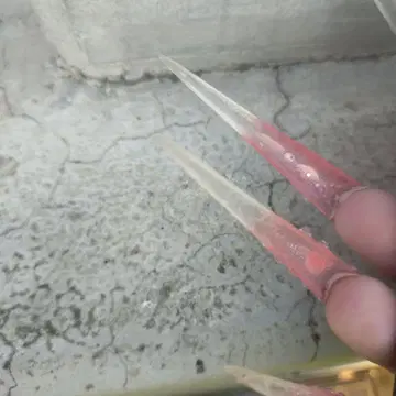 하마사키 아유미 티켓