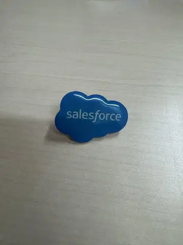 salesforce 핀 배지 세일즈포스