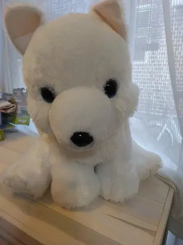 화이트 봉제 인형 파란 눈