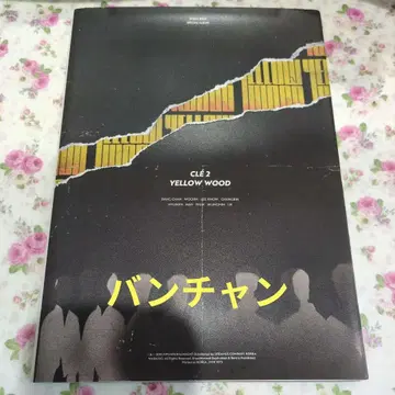 StrayKids 방찬 yellow wood 한정판 CD 앨범