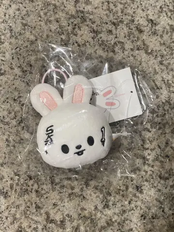 Straykids karma popup 네임택 리노 스키즈