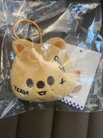 Straykids karma popup 네임택 한쿼카