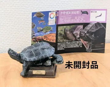 네이처 테크니컬러 일본의 거북 사가 블랙화형