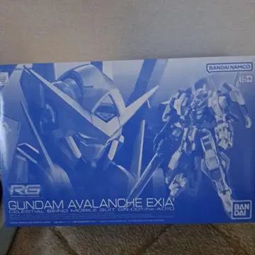 RG 1/144 건담 아발란체 엑시아 돌진