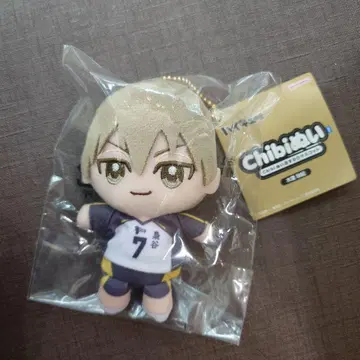 하이큐!! chibi 누이 오스와리 마스코트 코노하 아키노리 치비 누이