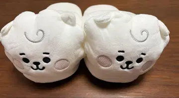 RJ 슬리퍼